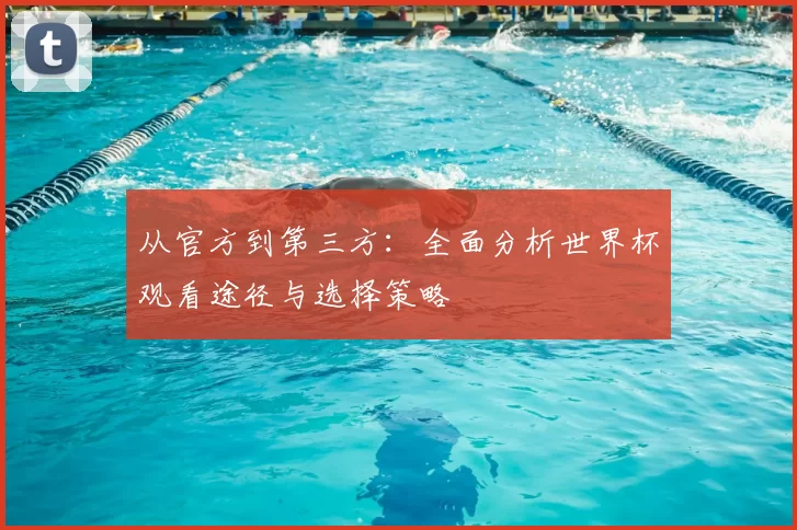从官方到第三方:全面分析世界杯观看途径与选择策略