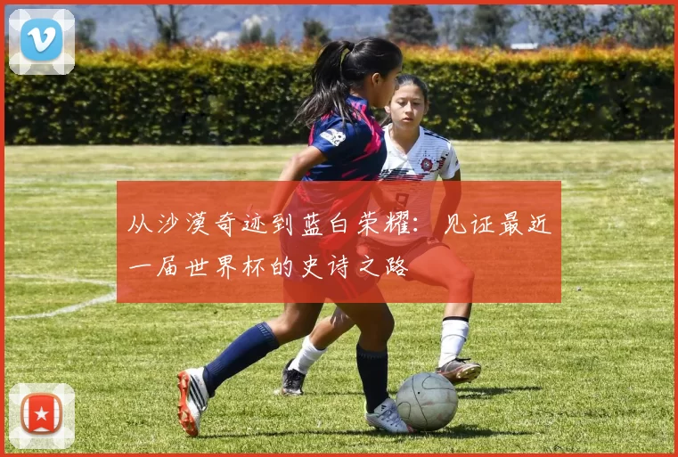 从沙漠奇迹到蓝白荣耀：见证最近一届世界杯的史诗之路