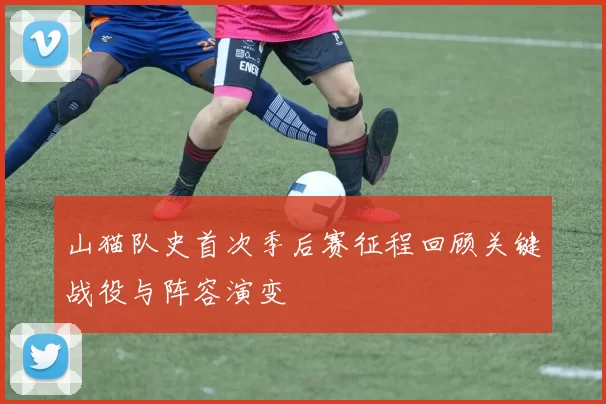 山猫队史首次季后赛征程回顾关键战役与阵容演变