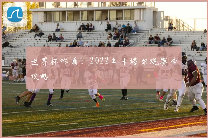 世界杯咋看？2022年卡塔尔观赛全攻略