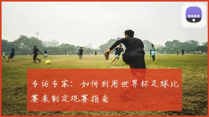 专访专家：如何利用世界杯足球比赛表制定观赛指南
