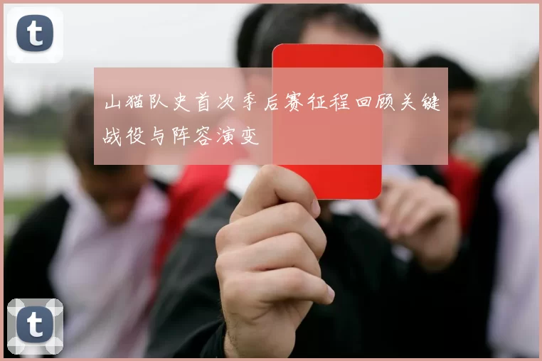 山猫队史首次季后赛征程回顾关键战役与阵容演变