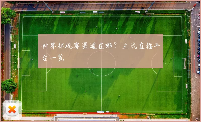 世界杯观赛渠道在哪？主流直播平台一览