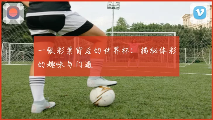 一张彩票背后的世界杯：揭秘体彩的趣味与门道