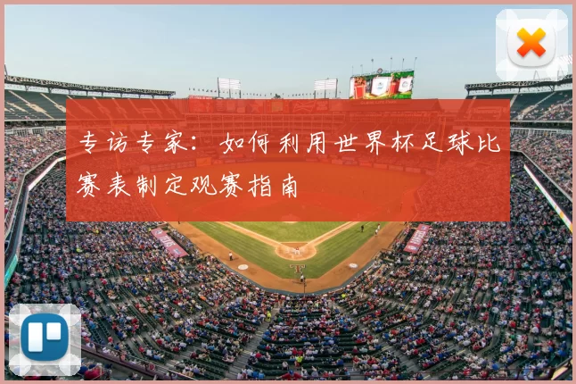 专访专家：如何利用世界杯足球比赛表制定观赛指南