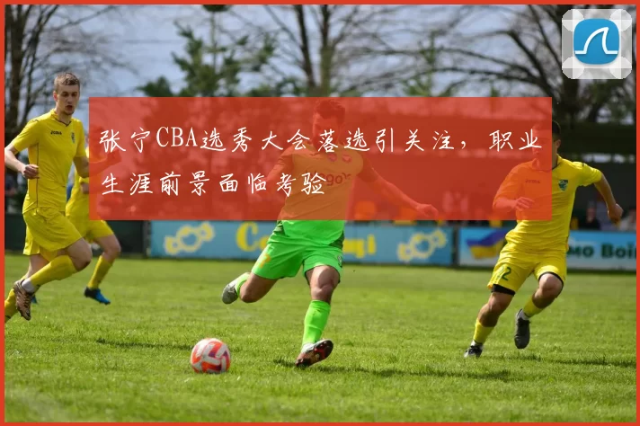 张宁CBA选秀大会落选引关注,职业生涯前景面临考验