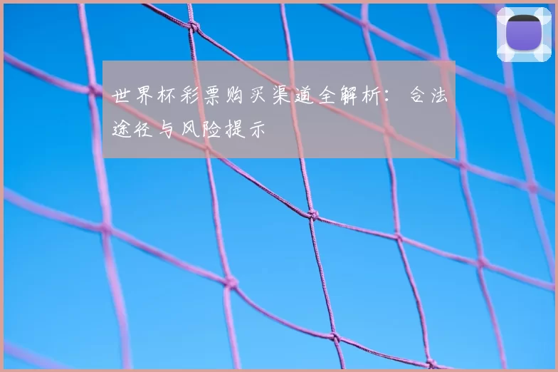 世界杯彩票购买渠道全解析：合法途径与风险提示