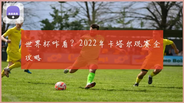 世界杯咋看？2022年卡塔尔观赛全攻略