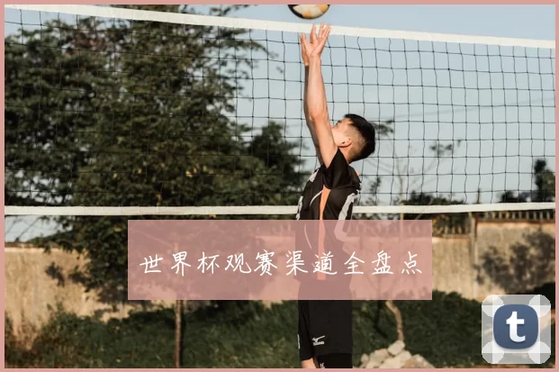 世界杯观赛渠道全盘点
