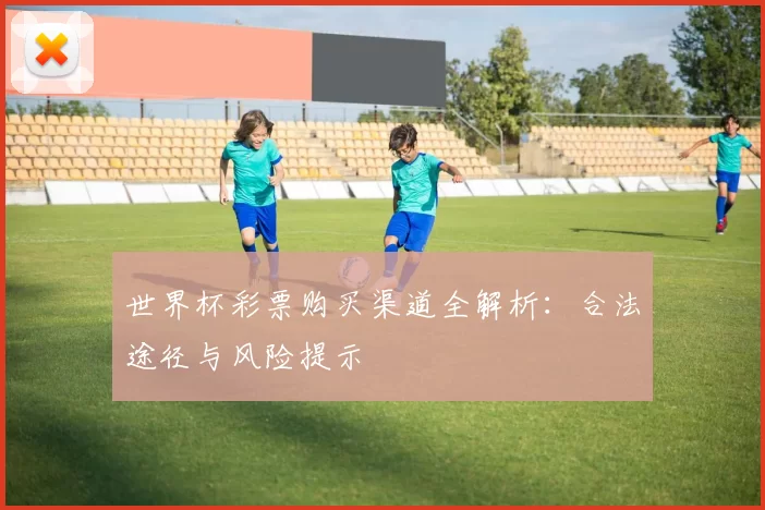 世界杯彩票购买渠道全解析:合法途径与风险提示