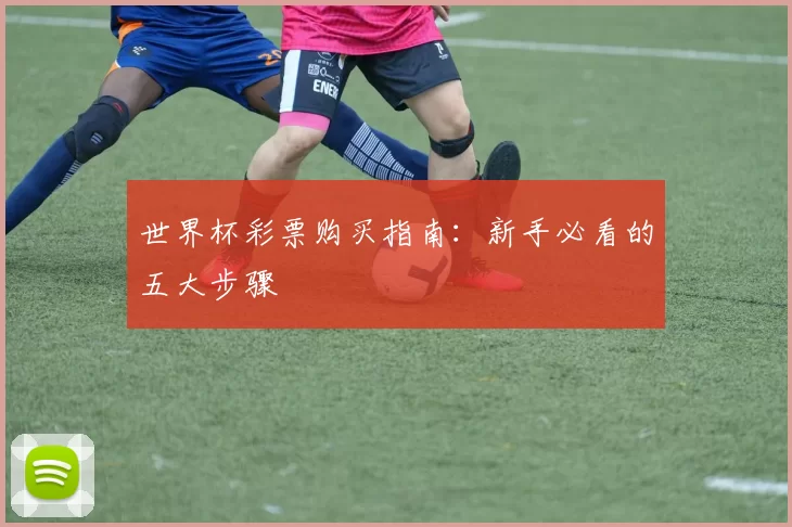 世界杯彩票购买指南：新手必看的五大步骤