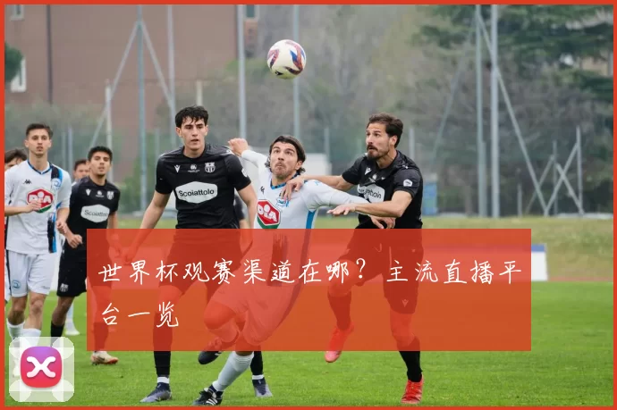 世界杯观赛渠道在哪？主流直播平台一览