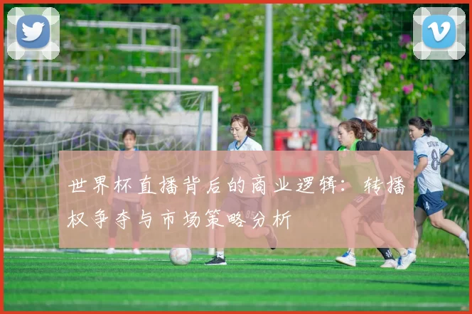 世界杯直播背后的商业逻辑：转播权争夺与市场策略分析