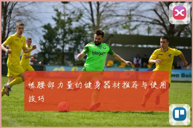 练腰部力量的健身器材推荐与使用技巧